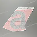 Side cowling decal, right side