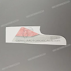 Front cowling decal, left side