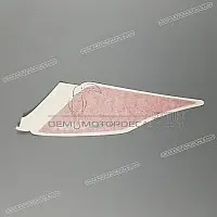 APRILIA Tail cowl decal, left side 2H002212