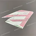 Side cowling decal, right side