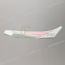 Front cowling decal, right side