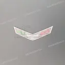 Front cowling decal