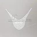 Front cowling decal