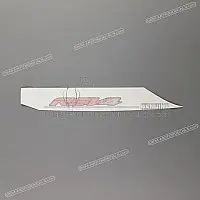 APRILIA Tail cowl decal, right side 2H005482