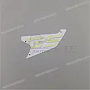 Left side cowling GS lettering