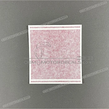 Pegatina para carenado frontal