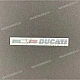 Ducati-4381D261C