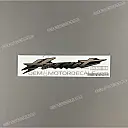 Achterkap „Hornet“ sticker