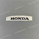 Emblema codone posteriore
