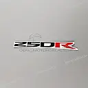 Right wing 250R graphic, right side