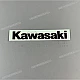 Kawasaki-560141238