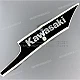 Kawasaki-560481979