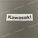 Kawasaki-560521173