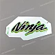 Kawasaki Ninja ZX-6R Adesivo 