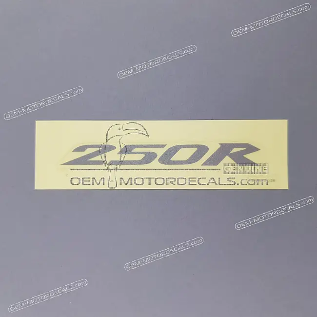 Kawasaki Ninja 250R Heckverkleidung 250R Logo linke Seite OEM 560540132