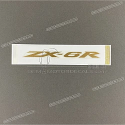 Adesivo codone ZX-6R