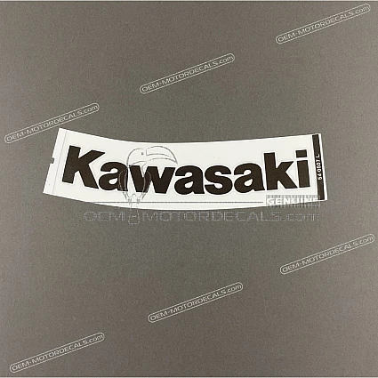 OEM Decals Kawasaki ZX6R 2010 - White • Original Stickers