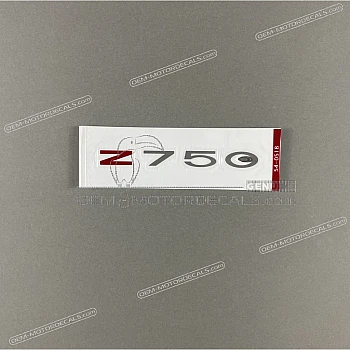 Tail cover Z750 graphic
