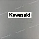 Kawasaki-560540738