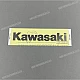 Kawasaki-560543939