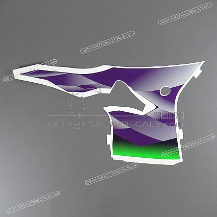 OEM Decals Kawasaki ZX9R 1999 - Green • Original Stickers