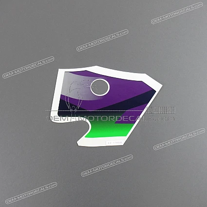 OEM Decals Kawasaki ZX9R 1999 - Green • Original Stickers