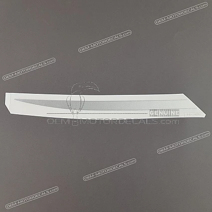OEM Decals Kawasaki ZX6R 2000 - Silver • Original Stickers