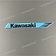 Kawasaki-560691546