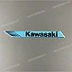 Kawasaki-560691547