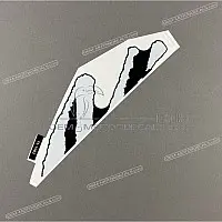 KAWASAKI Ninja ZX-10RR Side Cowl Pattern, Right Side 56075-1583
