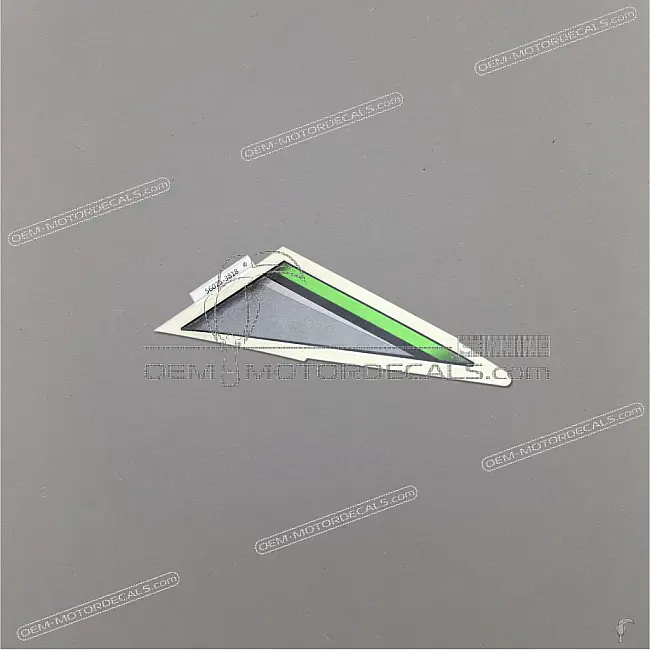 Kawasaki Z900 Lower Shroud Pattern Right Side OEM 560753818