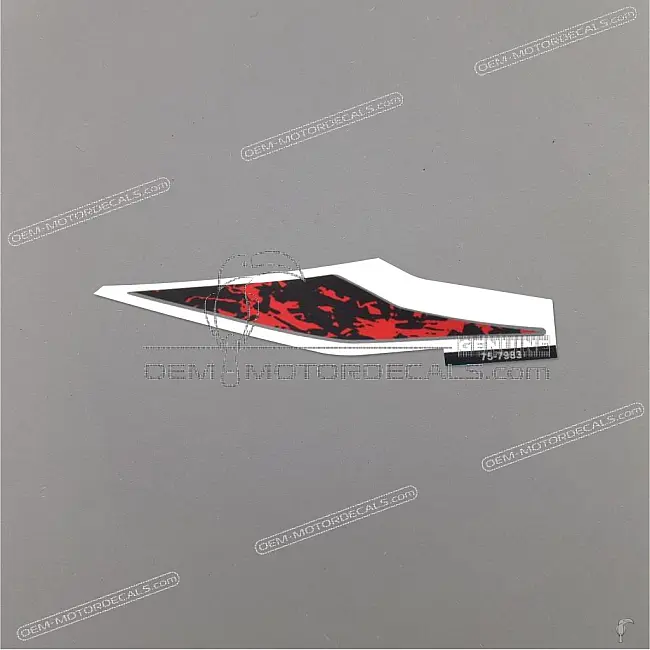 Kawasaki Z900 Verkleidungsaufkleber rechte Seite OEM 560757983