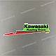 Kawasaki-560760386