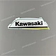 Kawasaki-560772348
