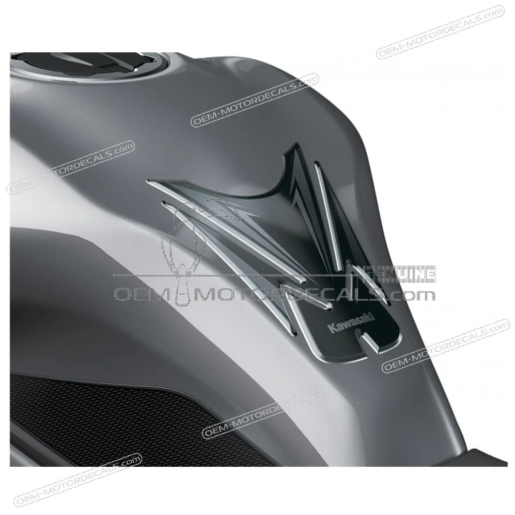 Kawasaki-999940832 Kawasaki-999940832