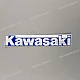 Kawasaki-560141233