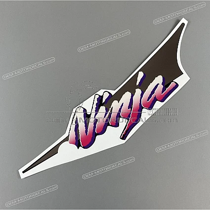 OEM Decals Kawasaki ZX9R 1995 - Gray • Original Stickers