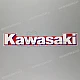 Kawasaki-560511414
