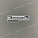 Kawasaki-560511621