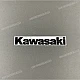 Kawasaki-560520493