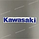 Kawasaki-560544104