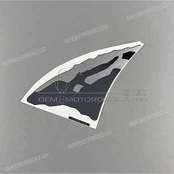 Front cowling decal, left side