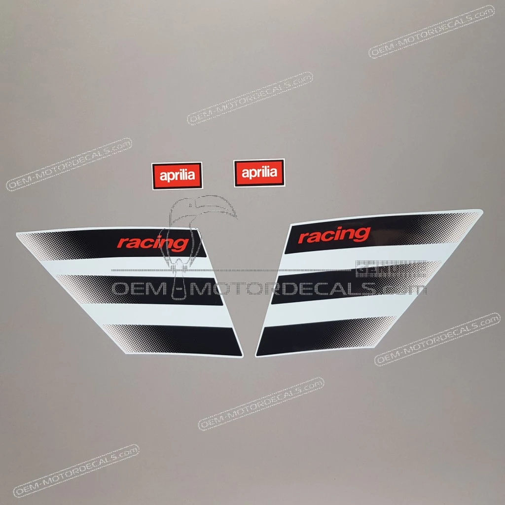 Aprilia-AP8167953-19