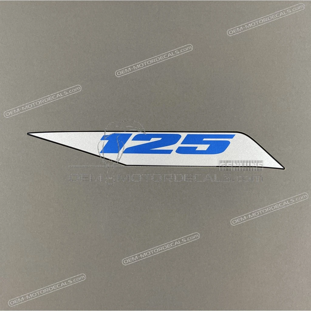 Suzuki-6813123K90BGY