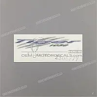 TRIUMPH Naklejka na zbiornik T2306777