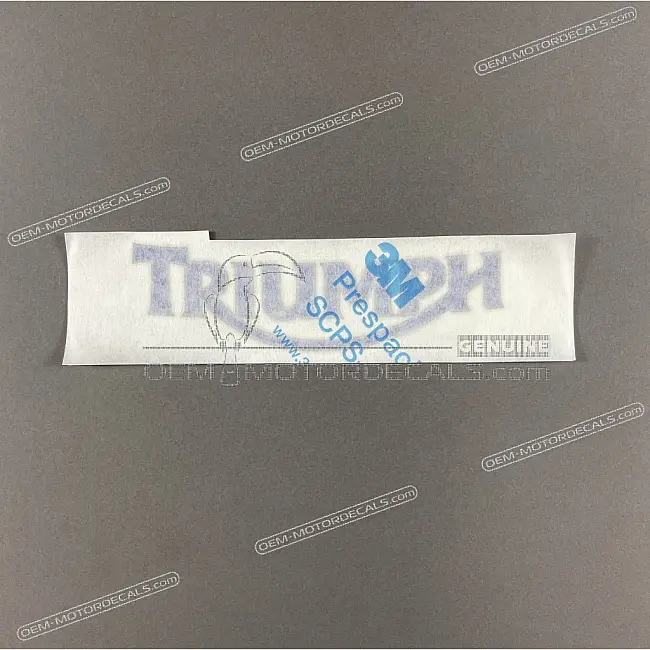 Triumph-T2306787