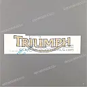 Tanksticker