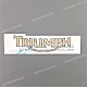 Triumph-T2307546