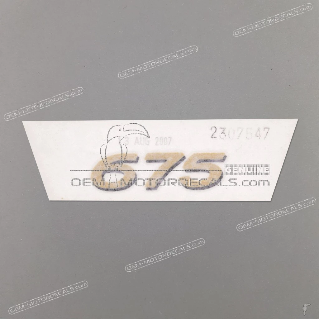 Triumph-T2307547