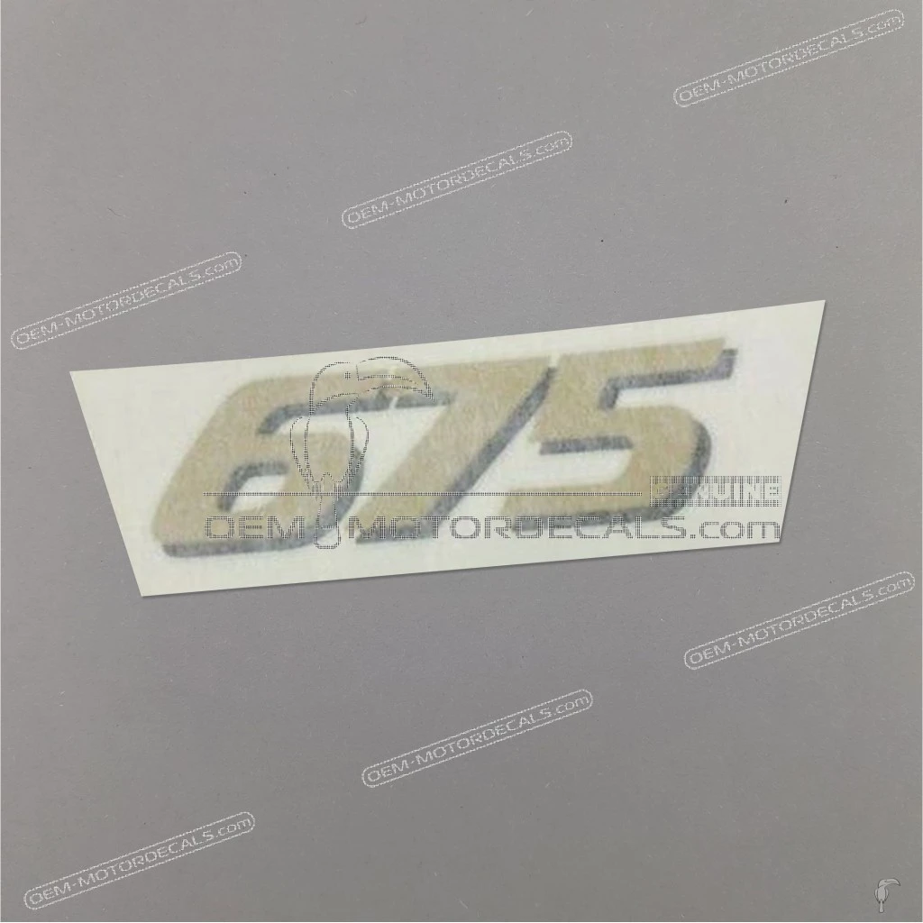 Triumph-T2307612